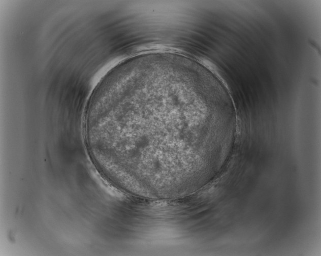 X0000099971098200806061624