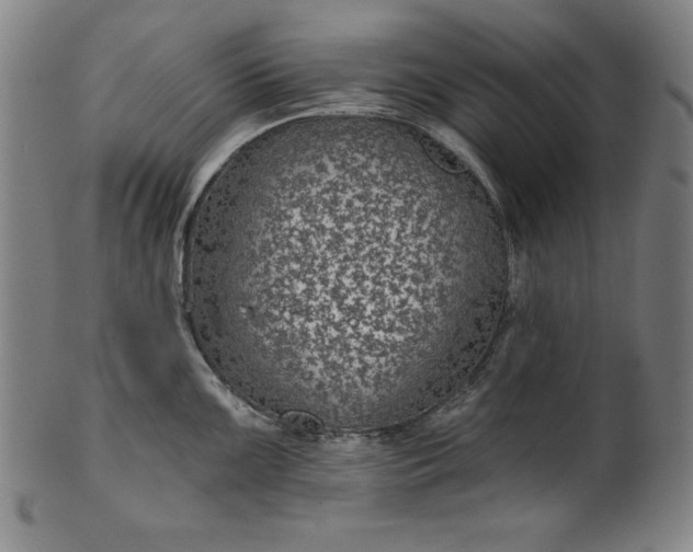 X0000099971099200806061624