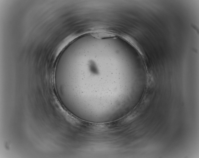 X0000099971101200806061624