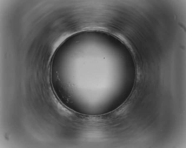 X0000099971102200806061624