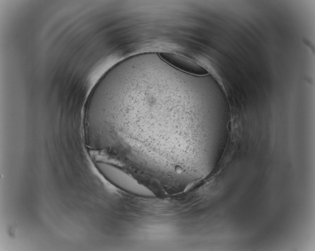 X0000099971103200806061624