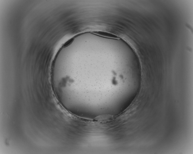 X0000099971104200806061624