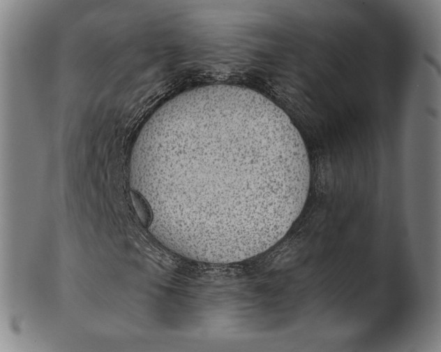 X0000099971105200806061623