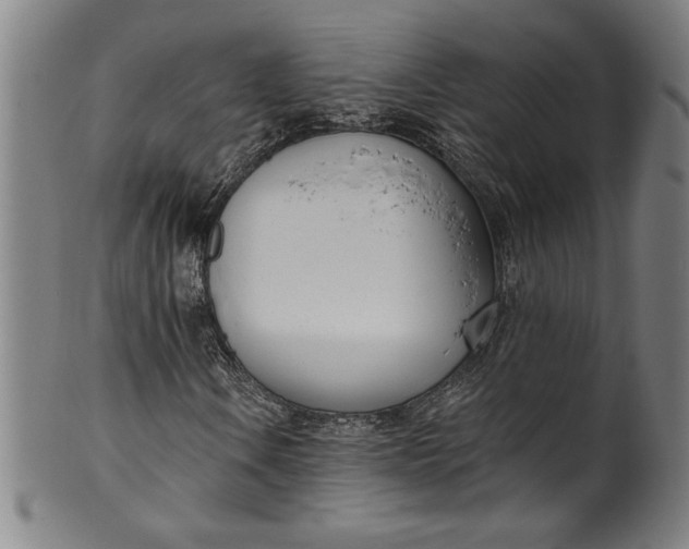 X0000099971106200806061623