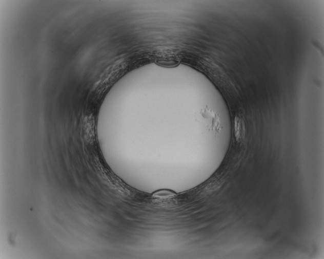 X0000099971107200806061623