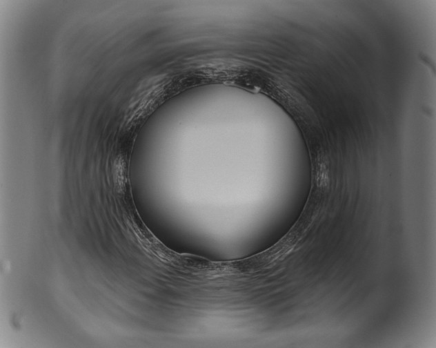 X0000099971108200806061623