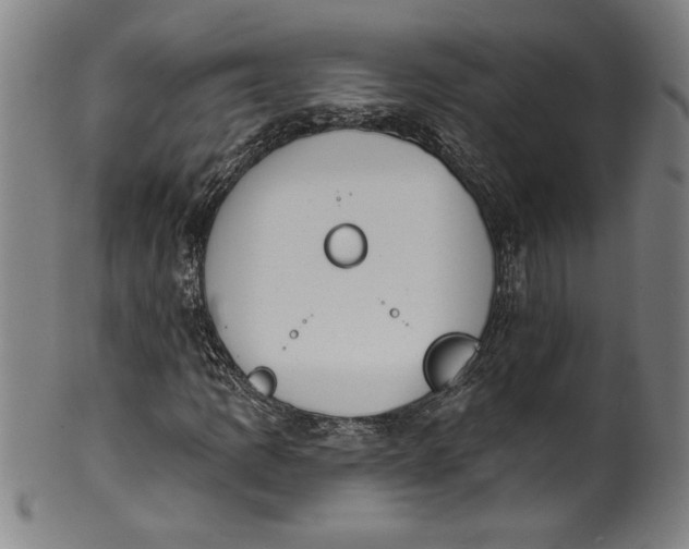 X0000099971109200806061623