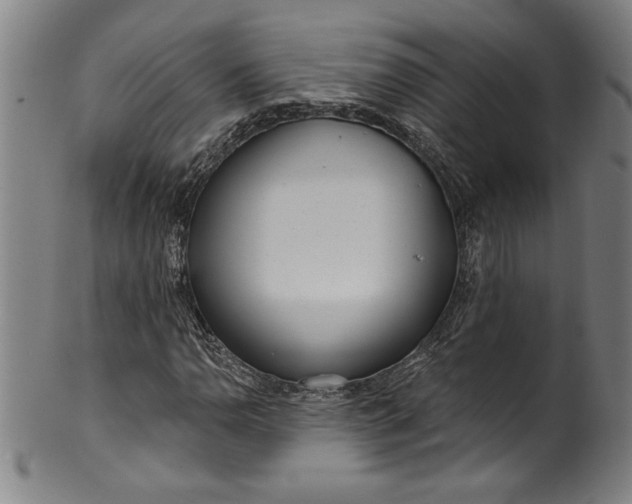 X0000099971110200806061623