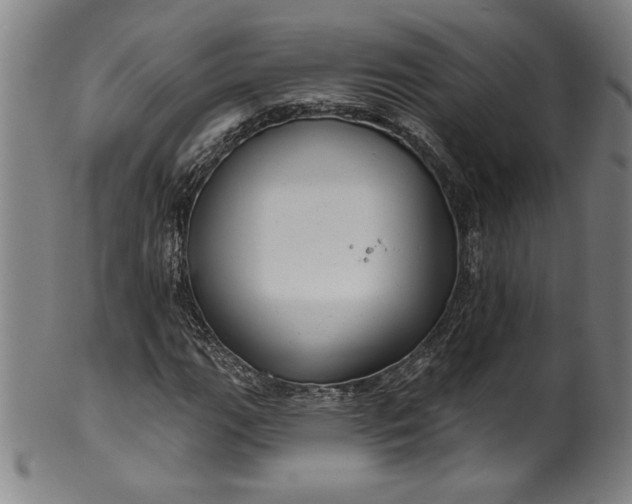 X0000099971111200806061623