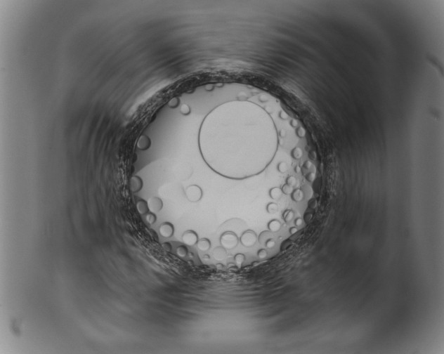 X0000099971112200806061623