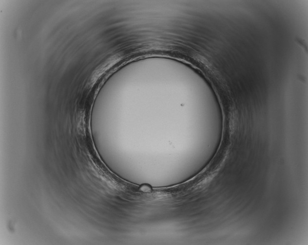 X0000099971113200806061623