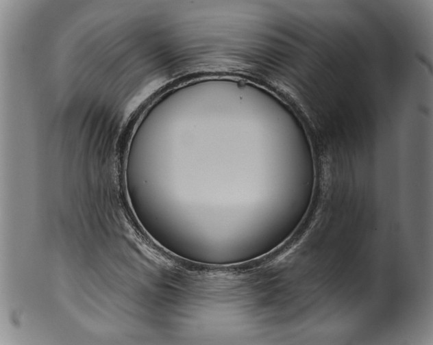 X0000099971114200806061623