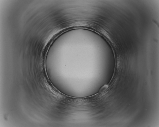 X0000099971116200806061623