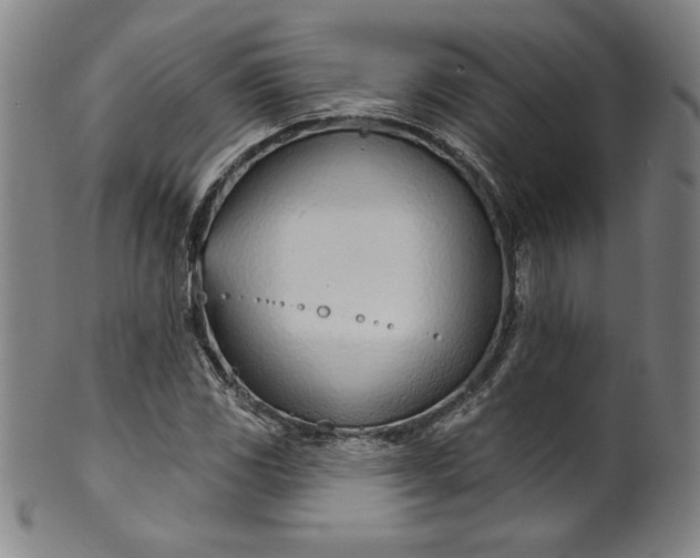 X0000099971117200806061623