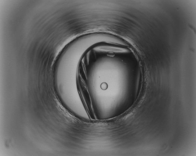 X0000099971118200806061623