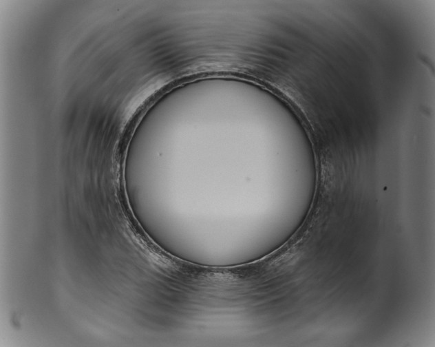 X0000099971119200806061623