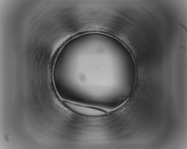 X0000099971120200806061623