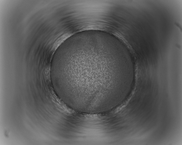 X0000099971121200806061623