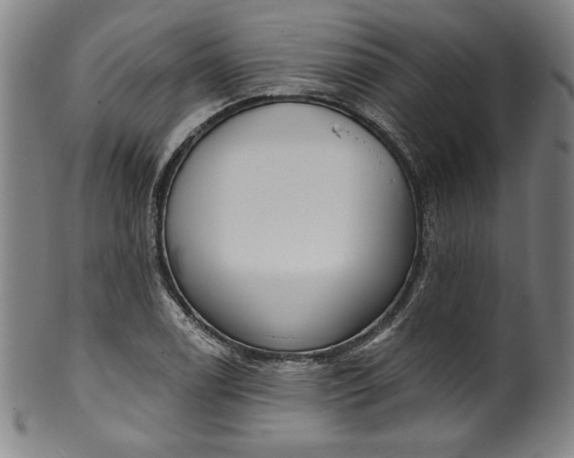 X0000099971122200806061623