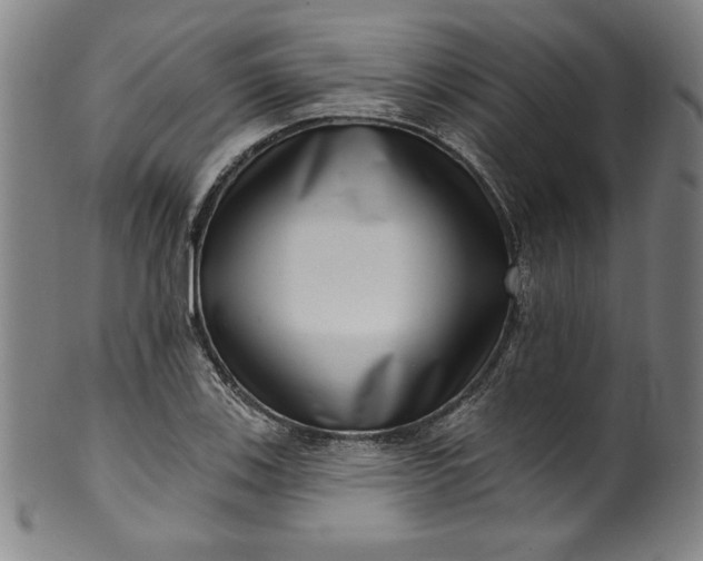 X0000099971123200806061623