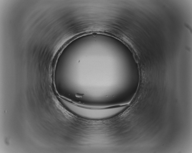 X0000099971124200806061623