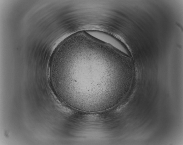 X0000099971125200806061623