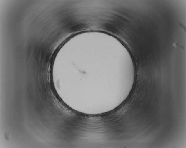 X0000099971126200806061623