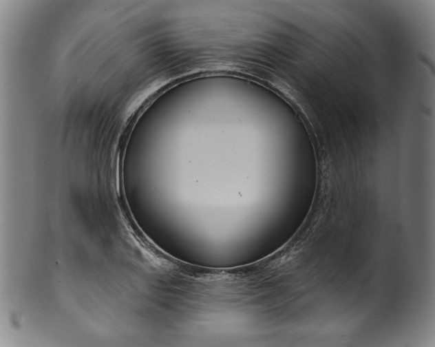 X0000099971127200806061623