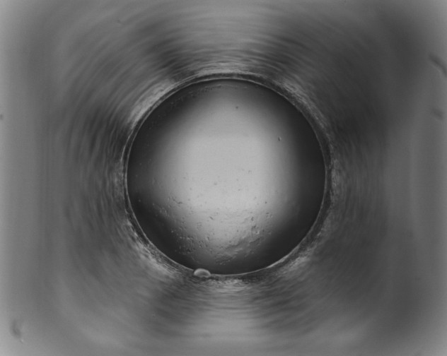 X0000099971129200806061623