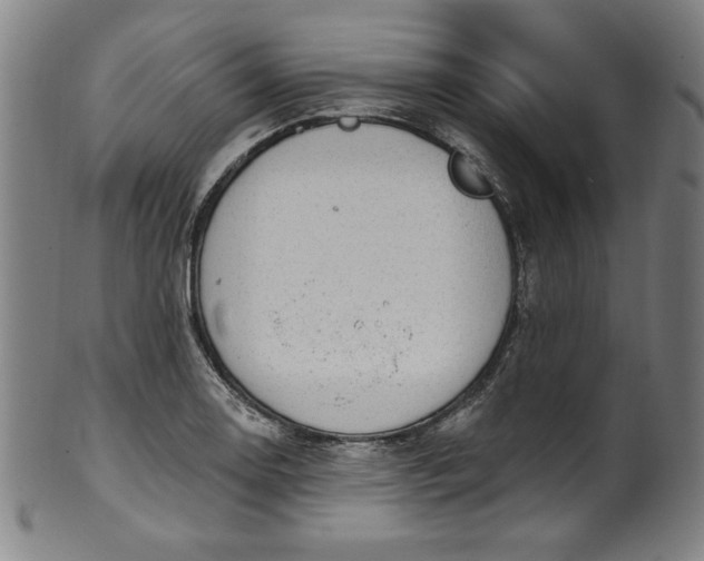 X0000099971130200806061623