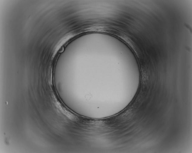 X0000099971131200806061623