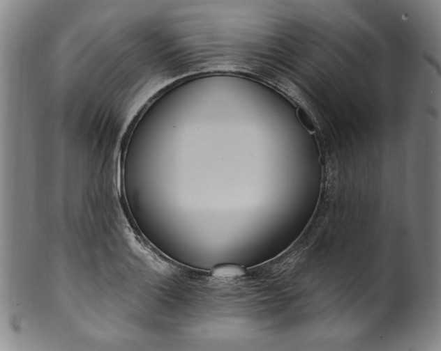 X0000099971132200806061623