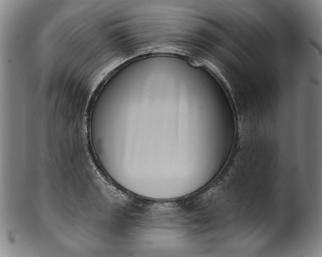 X0000099971133200806061623