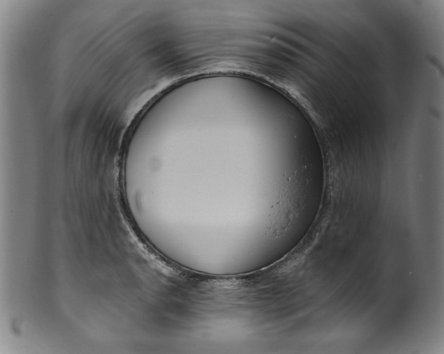 X0000099971134200806061623