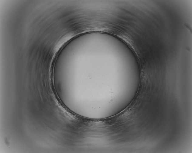 X0000099971135200806061624