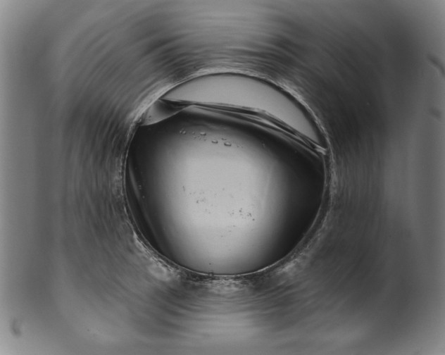 X0000099971137200806061624