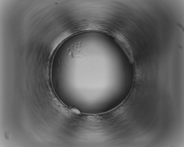 X0000099971138200806061624