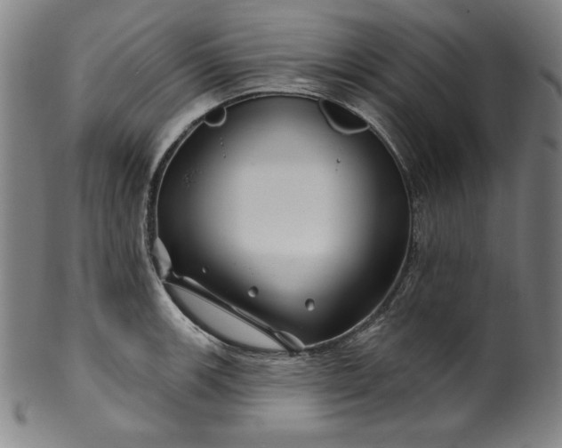 X0000099971139200806061624