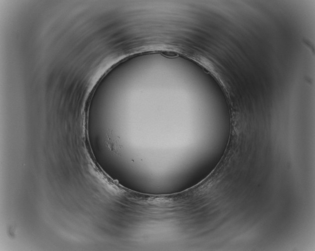 X0000099971140200806061624