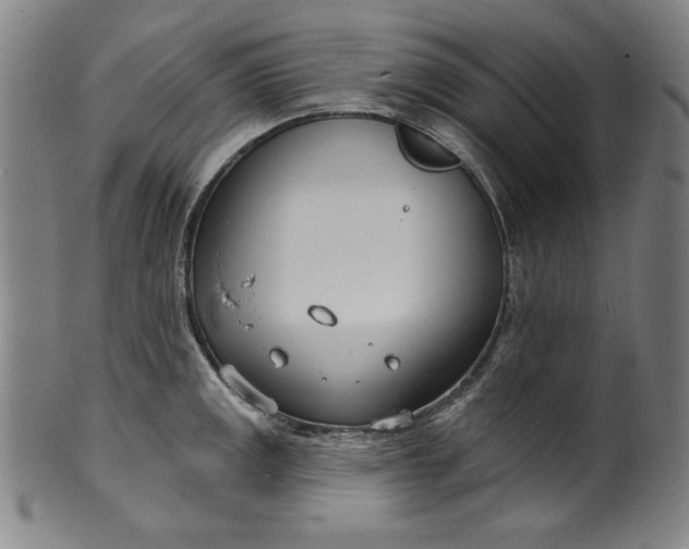 X0000099971141200806061624