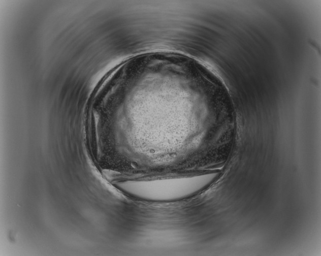 X0000099971142200806061624