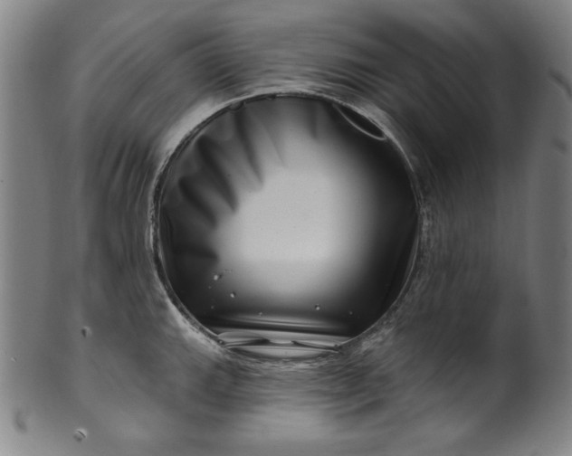 X0000099971143200806061624