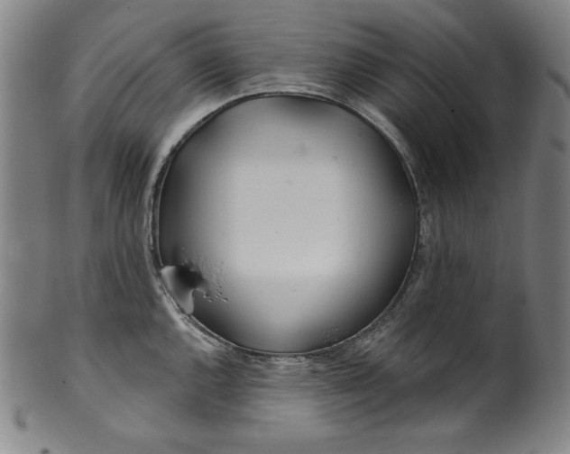 X0000099971144200806061624