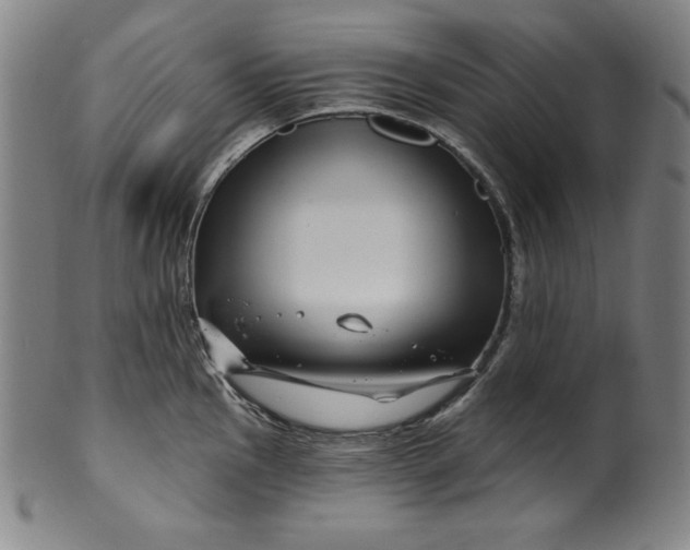 X0000099971145200806061624