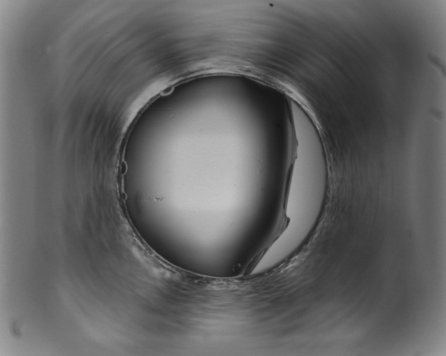 X0000099971146200806061624