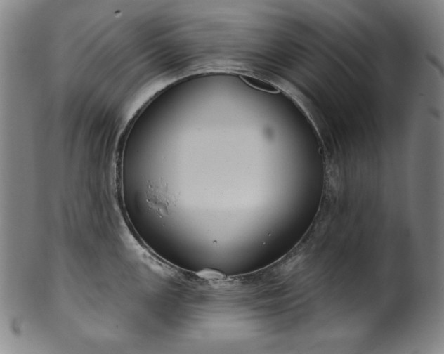 X0000099971147200806061624