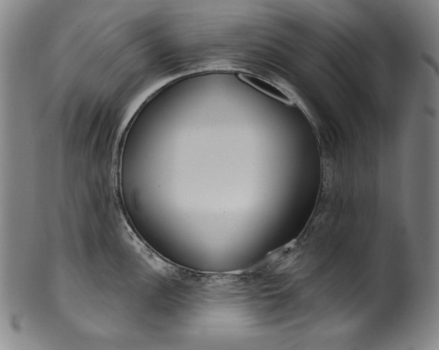 X0000099971148200806061624