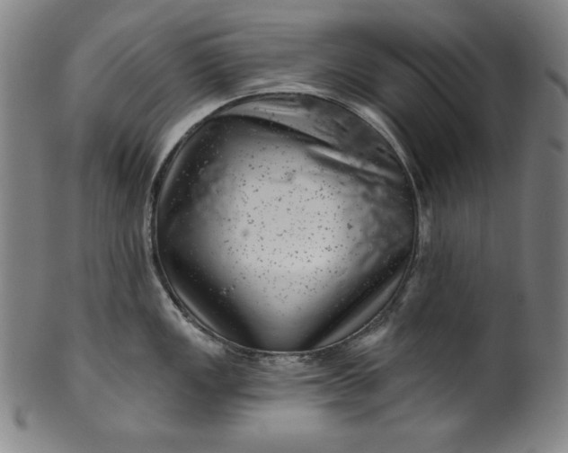 X0000099971149200806061624