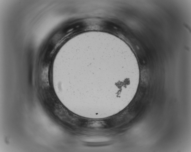 X0000099971150200806061624