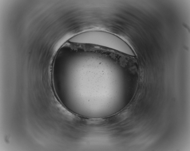 X0000099971151200806061624